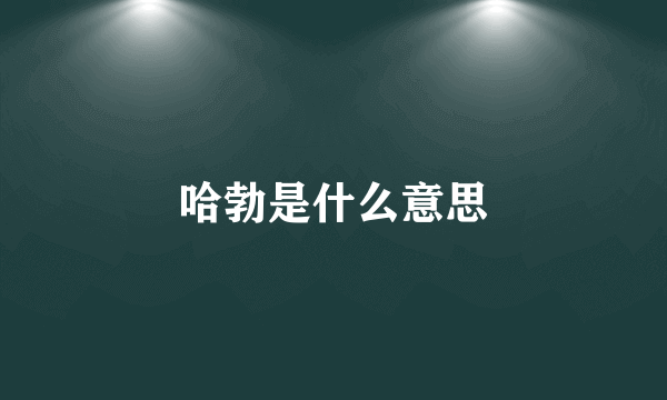 哈勃是什么意思