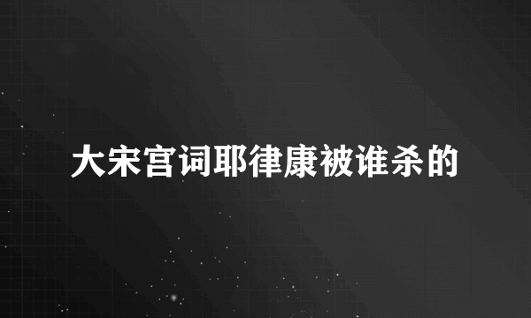 大宋宫词耶律康被谁杀的