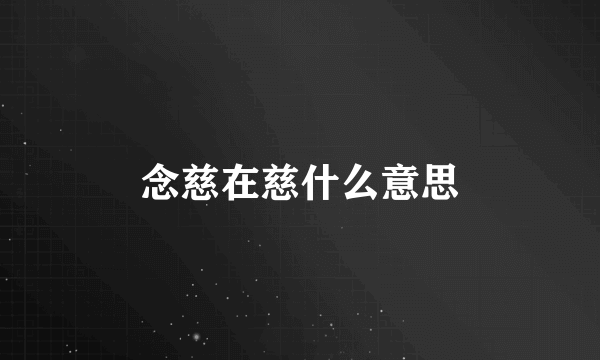 念慈在慈什么意思