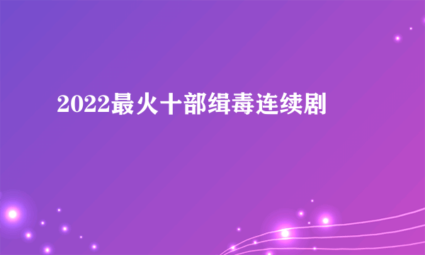 2022最火十部缉毒连续剧