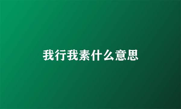 我行我素什么意思