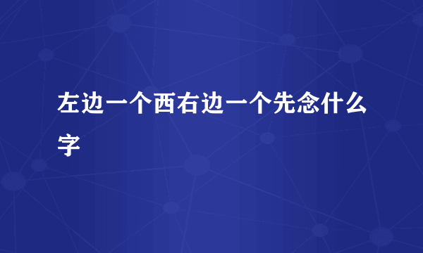 左边一个西右边一个先念什么字