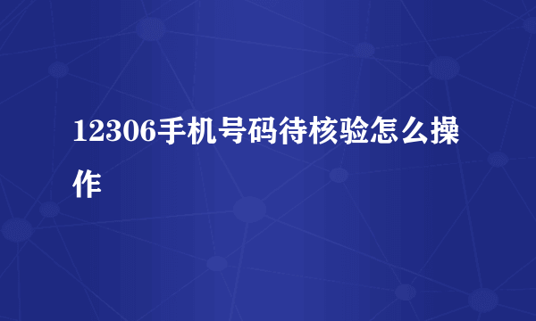 12306手机号码待核验怎么操作