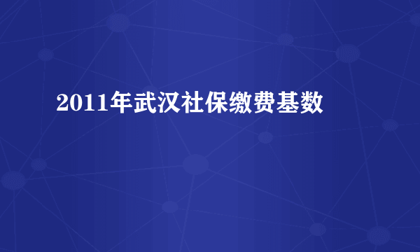 2011年武汉社保缴费基数