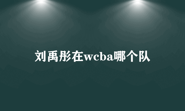 刘禹彤在wcba哪个队