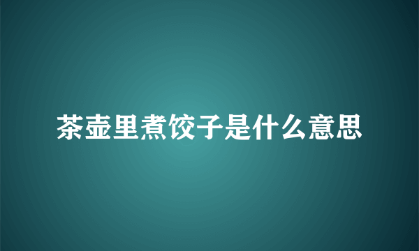 茶壶里煮饺子是什么意思