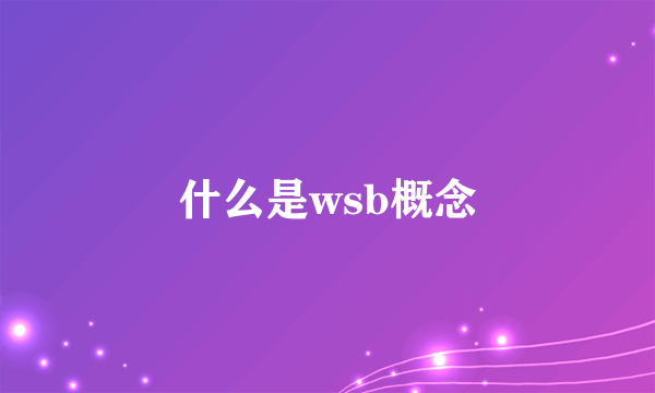 什么是wsb概念