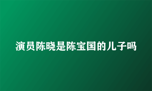 演员陈晓是陈宝国的儿子吗