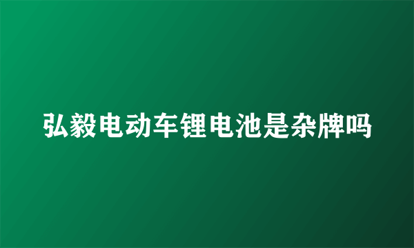 弘毅电动车锂电池是杂牌吗