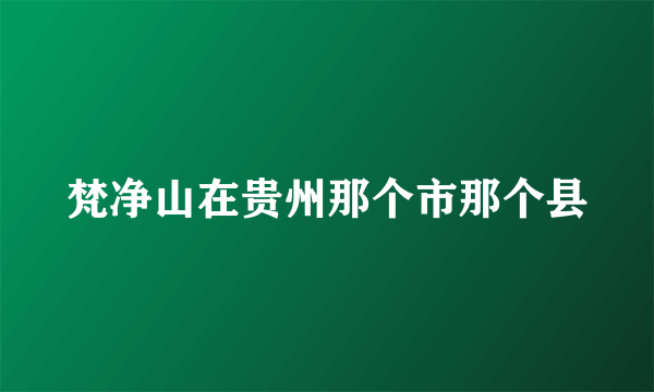 梵净山在贵州那个市那个县