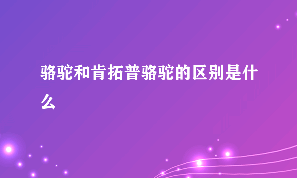 骆驼和肯拓普骆驼的区别是什么