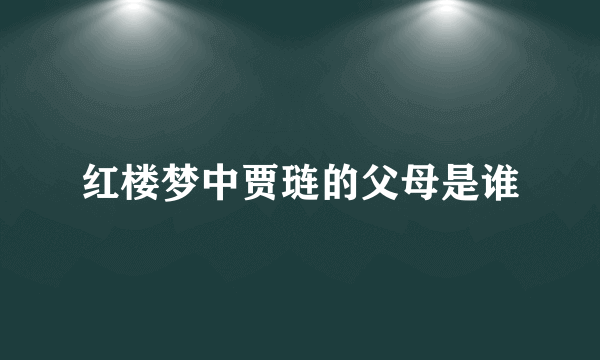 红楼梦中贾琏的父母是谁