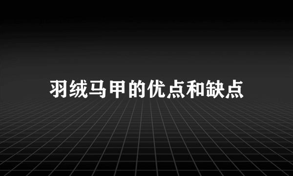 羽绒马甲的优点和缺点