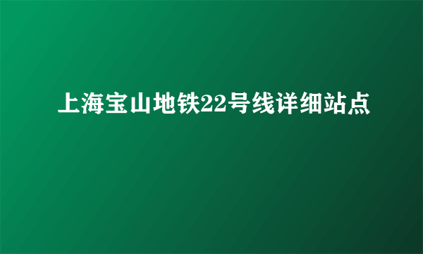 上海宝山地铁22号线详细站点