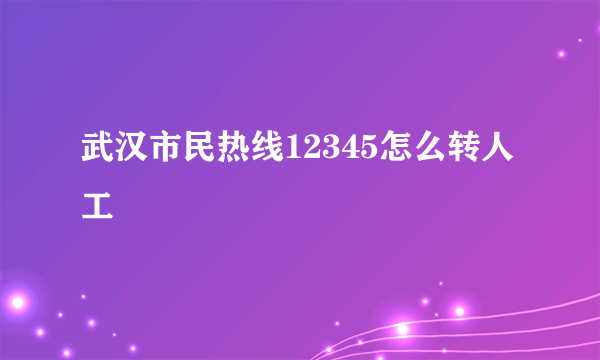 武汉市民热线12345怎么转人工