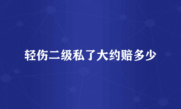 轻伤二级私了大约赔多少