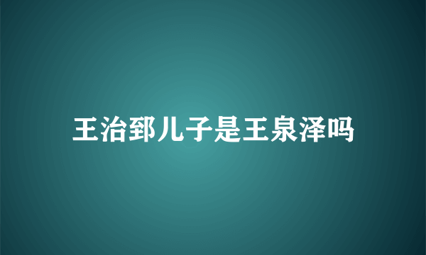 王治郅儿子是王泉泽吗