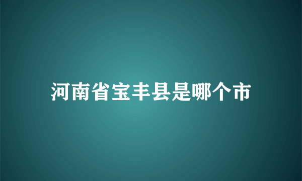 河南省宝丰县是哪个市