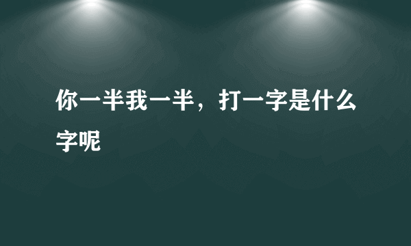 你一半我一半，打一字是什么字呢