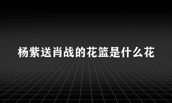 杨紫送肖战的花篮是什么花