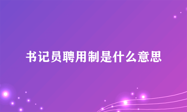 书记员聘用制是什么意思