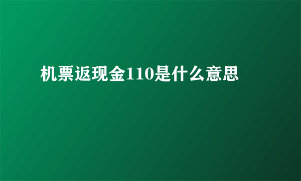 机票返现金110是什么意思