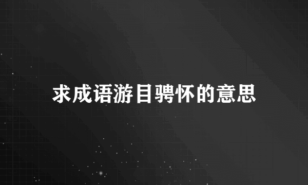 求成语游目骋怀的意思