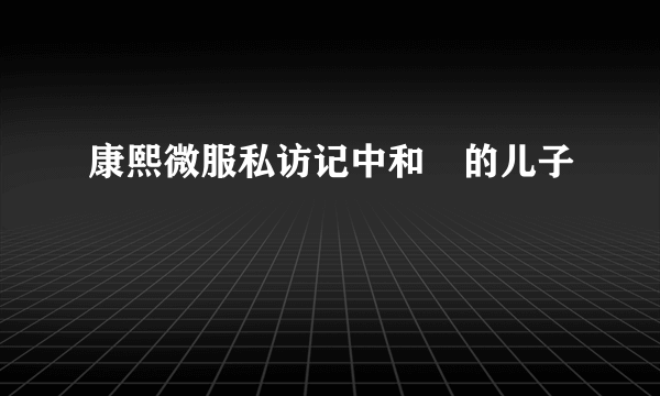 康熙微服私访记中和珅的儿子