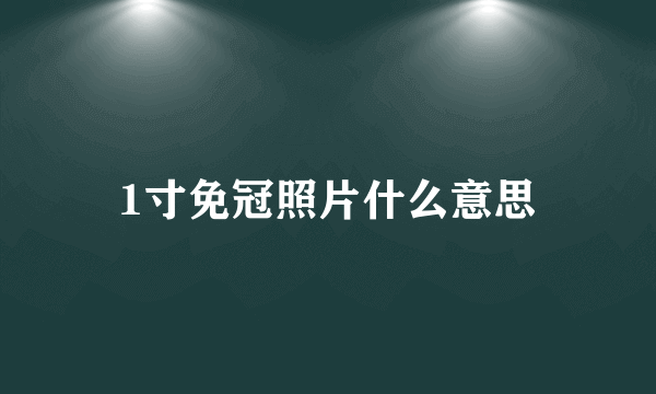 1寸免冠照片什么意思