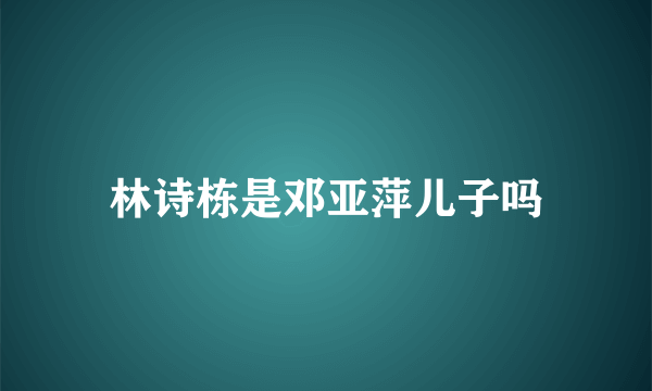 林诗栋是邓亚萍儿子吗