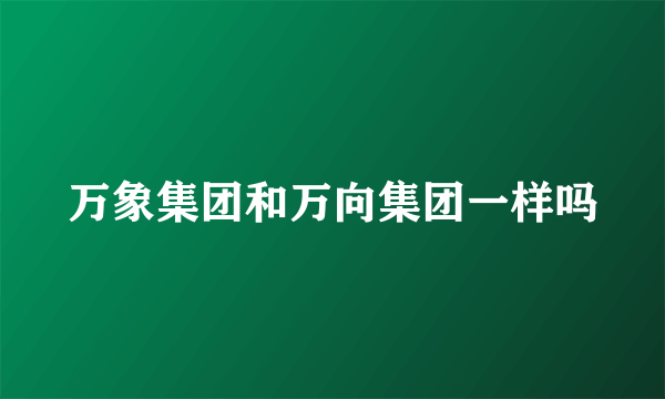 万象集团和万向集团一样吗