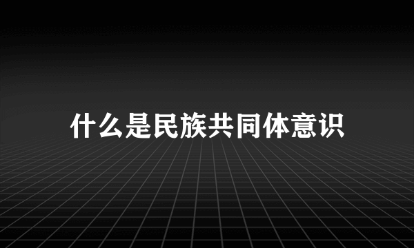 什么是民族共同体意识