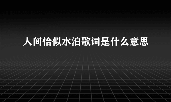 人间恰似水泊歌词是什么意思