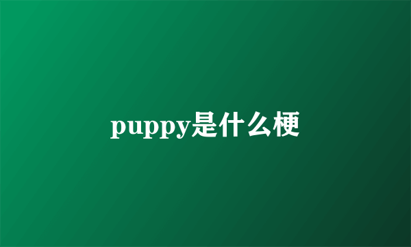 puppy是什么梗