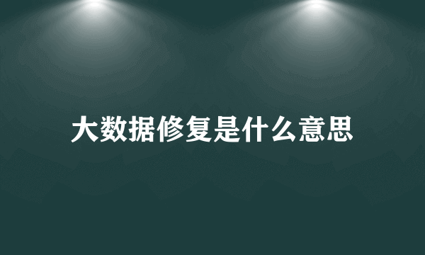 大数据修复是什么意思