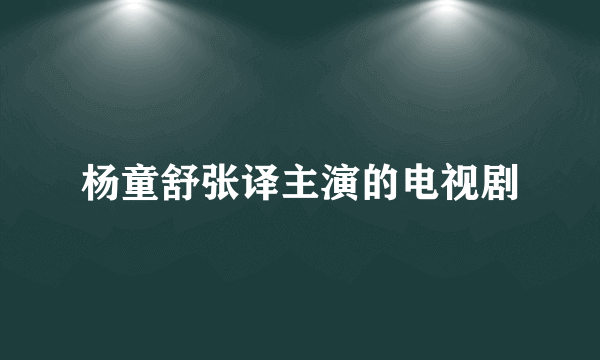 杨童舒张译主演的电视剧