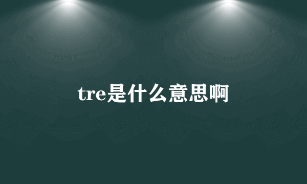 tre是什么意思啊