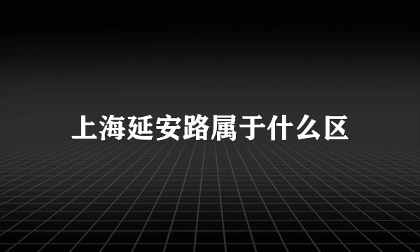 上海延安路属于什么区