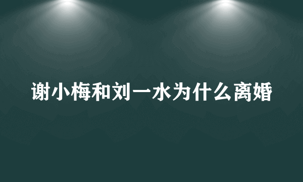 谢小梅和刘一水为什么离婚