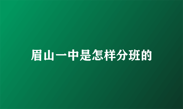 眉山一中是怎样分班的