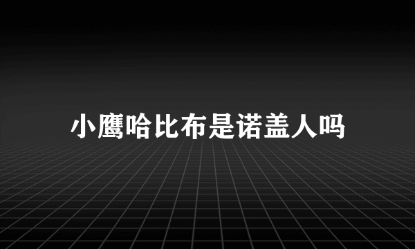 小鹰哈比布是诺盖人吗