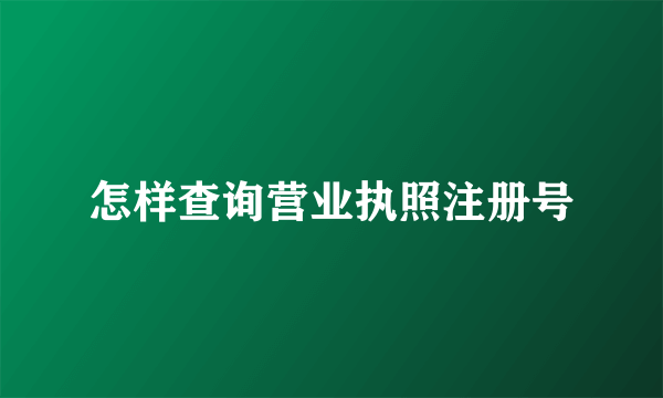 怎样查询营业执照注册号