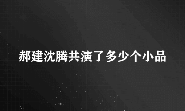 郝建沈腾共演了多少个小品