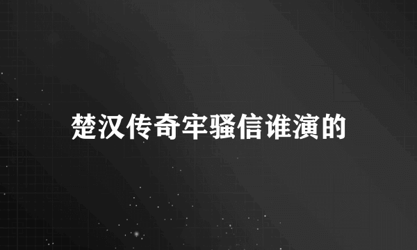 楚汉传奇牢骚信谁演的