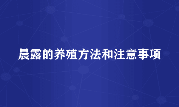 晨露的养殖方法和注意事项