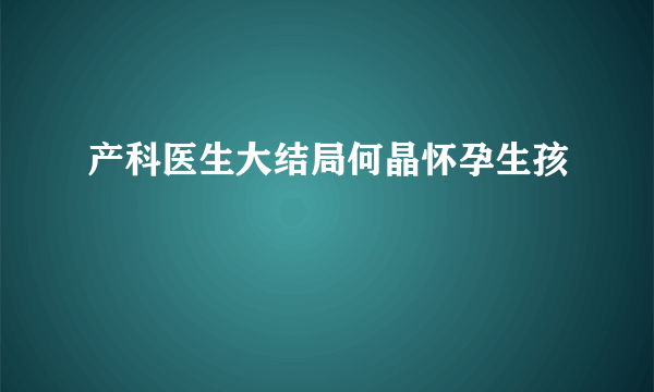 产科医生大结局何晶怀孕生孩