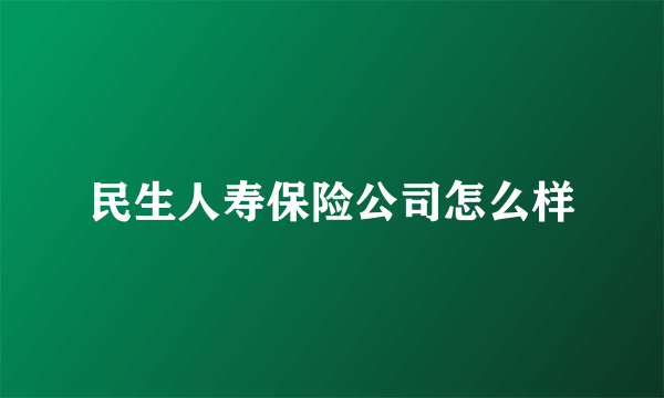 民生人寿保险公司怎么样