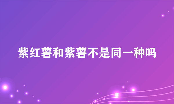 紫红薯和紫薯不是同一种吗