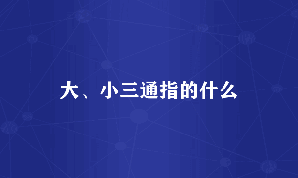 大、小三通指的什么