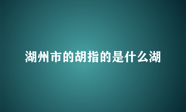 湖州市的胡指的是什么湖